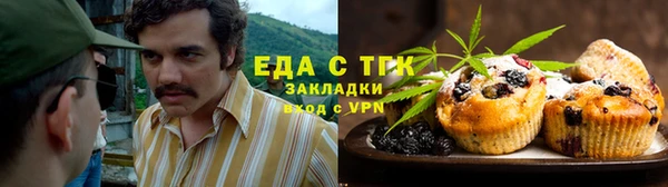 мдпв Богородск