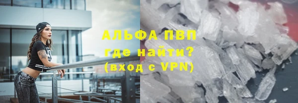 сатива Богданович