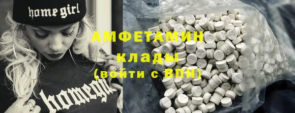 сатива Богданович