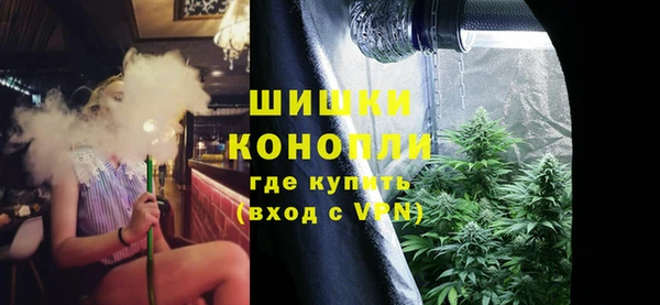 сатива Богданович