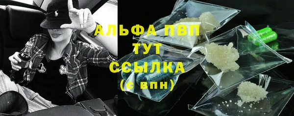 сатива Богданович
