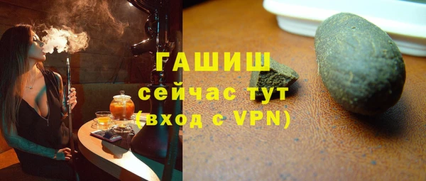мдпв Богородск