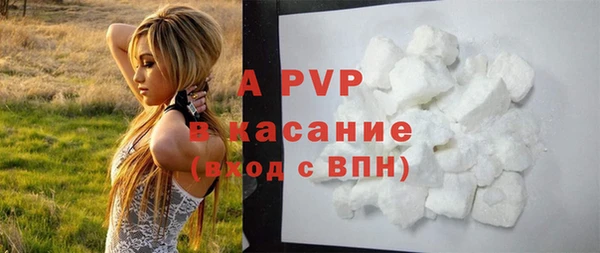 сатива Богданович