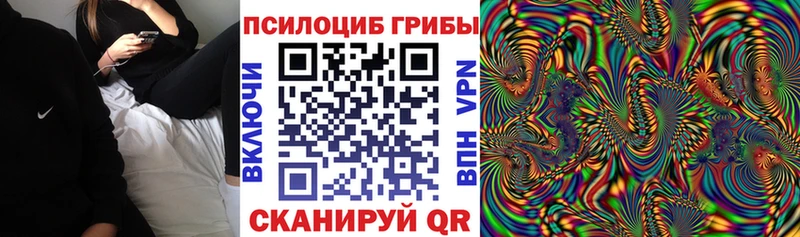 Псилоцибиновые грибы прущие грибы  дарнет шоп  гидра ССЫЛКА  Пенза 
